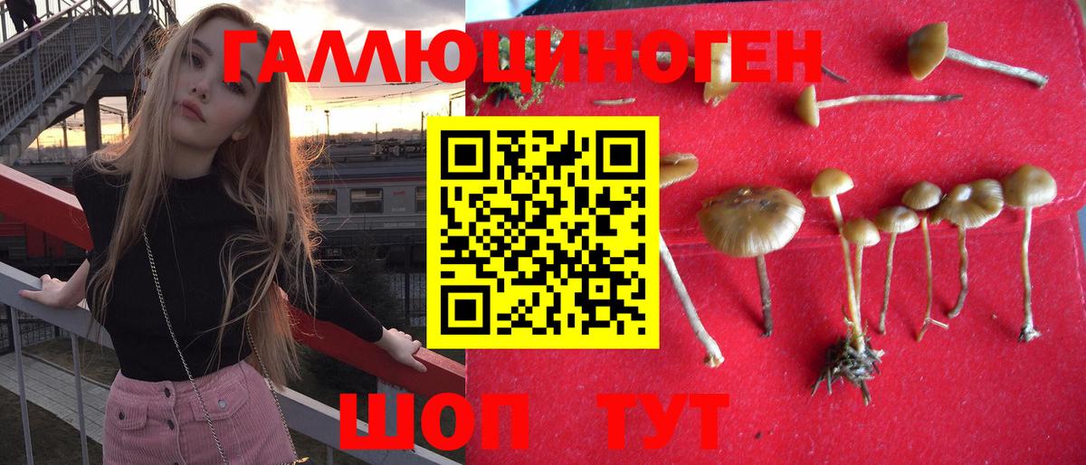 Галлюциногенные грибы GOLDEN TEACHER Алексеевка