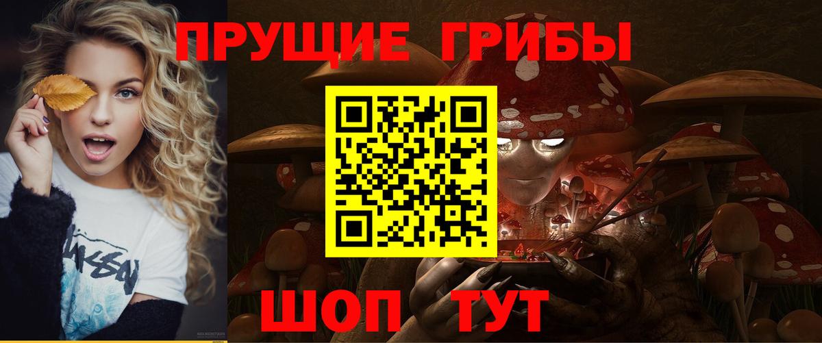 Галлюциногенные грибы Psilocybine cubensis  Галлюциногенные грибы ЛСД  Алексеевка  Вход с VPN 