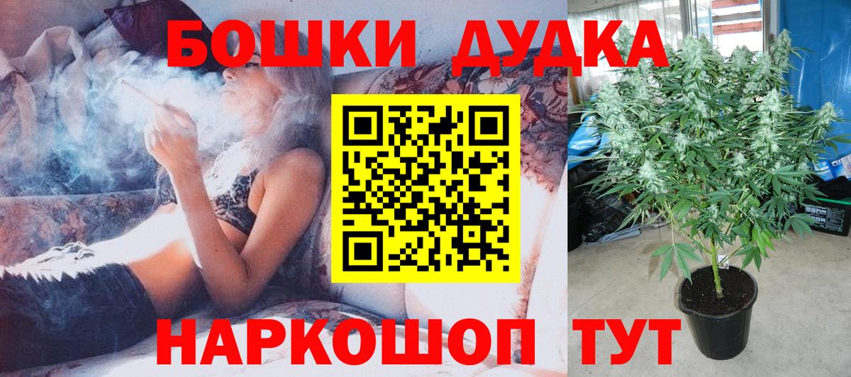 Марихуана Amnesia Алексеевка